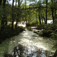 river in eskhar