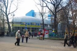 dolphinarium nemo