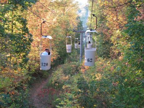 cable-way-in-botanical-garden