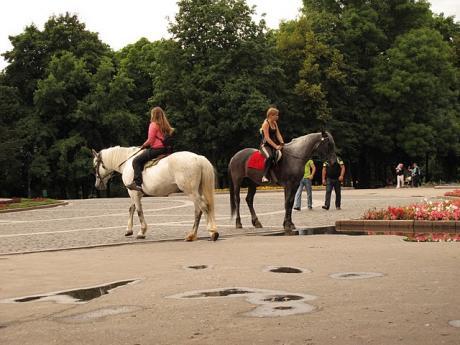 horses-in-shvechenko-park