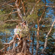 people on the tree