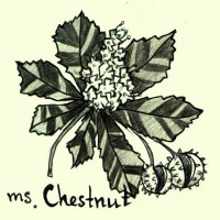 Ms. Chestnut Art