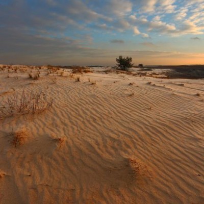 Kitsovskaya Desert
