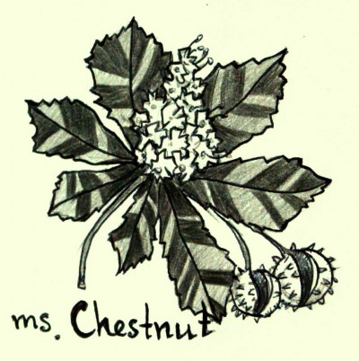 Ms. Chestnut Art